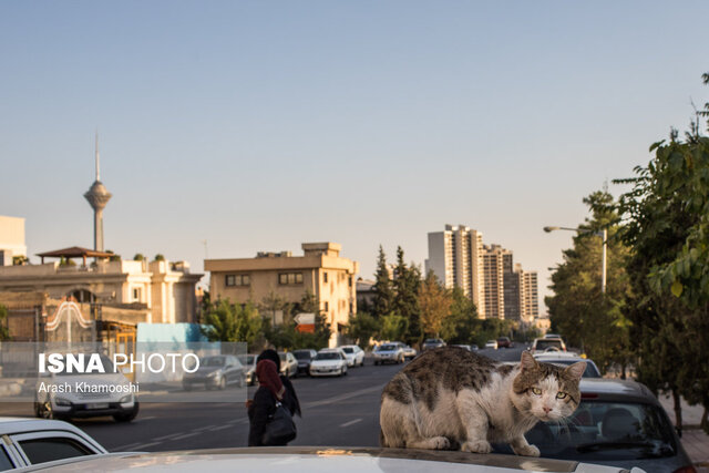 درباره شهرک غرب چه می‌دانید؟