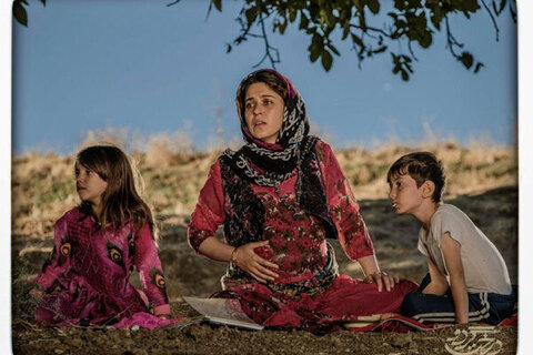 خاطرات «درخت گردو» و خِسخِس نفسها 1 خاطرات «درخت گردو» و خِسخِس نفسها