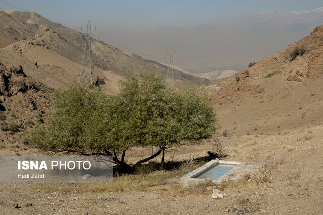 «خجیر و سرخه حصار» زیر ذره‌بین محیط بانان