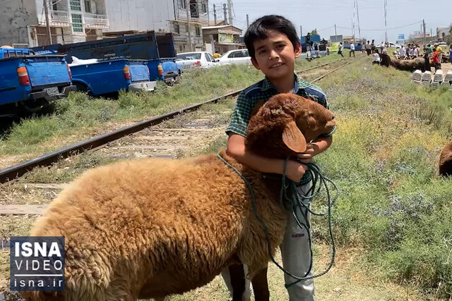 ویدیو/ حال و هوای بندر ترکمن در آستانه عید قربان ویدیو/ حال و هوای بندر ترکمن در آستانه عید قربان
