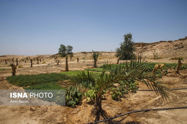 روایتی از زندگی معتادان متجاهر در کمپ ماده ۱۶ خوزستان 5 روایتی از زندگی معتادان متجاهر در کمپ ماده ۱۶ خوزستان
