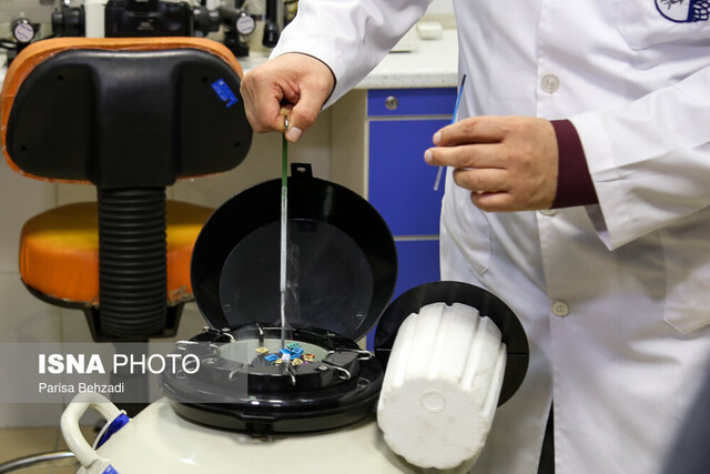 آنچه دختران باید درباره «فریز تخمک» بدانند/ تخمک فریزشده تا چه زمان ماندگاری دارد؟ 1 آنچه که زنان باید درباره «فریز تخمک» بدانند / تخمک فریز شده تا چه زمان ماندگاری دارد؟