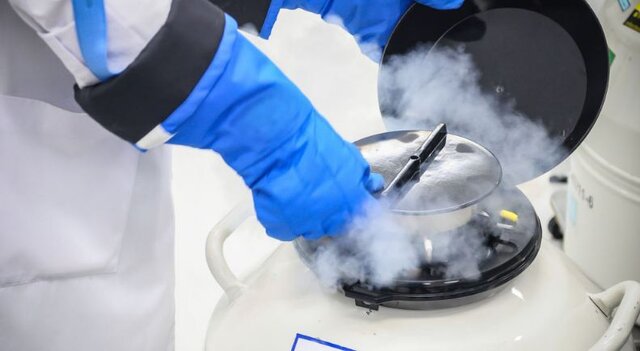 آنچه دختران باید درباره «فریز تخمک» بدانند/ تخمک فریزشده تا چه زمان ماندگاری دارد؟ 2 آنچه که زنان باید درباره «فریز تخمک» بدانند / تخمک فریز شده تا چه زمان ماندگاری دارد؟