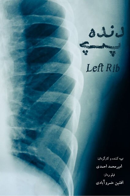 از پیام محمد خزاعی تا جزییاتی از چند فیلم جشنواره حقیقت 3 از پیام محمد خزاعی تا جزییاتی از چند فیلم جشنواره حقیقت