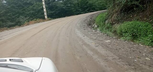 "کدهایی" که تیشه به ریشه جنگل میزند 1 "کدهایی" که تیشه به ریشه جنگل میزند