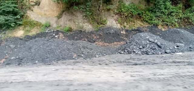 "کدهایی" که تیشه به ریشه جنگل میزند 2 "کدهایی" که تیشه به ریشه جنگل میزند