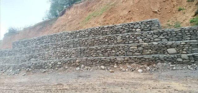 "کدهایی" که تیشه به ریشه جنگل میزند 3 "کدهایی" که تیشه به ریشه جنگل میزند