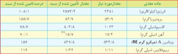 نحوه انتخاب «سبد غذایی» خانوارها در سال ۱۴۰۲/ تعیین میزان کالری بر حسب نیاز طبقه متوسط جامعه