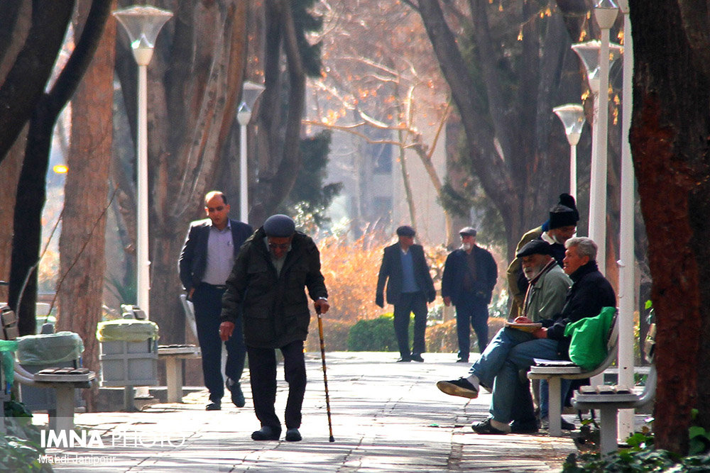 طلوعی دوباره از بازتاب زندگی در سالمندی