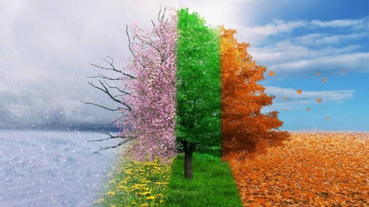 مزاج‌شناسی؛ دانشی از طبیعت برای حفظ سلامت