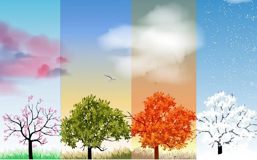 نسخه‌ طبیعت برای تقویت سپر سلامتی کودکان