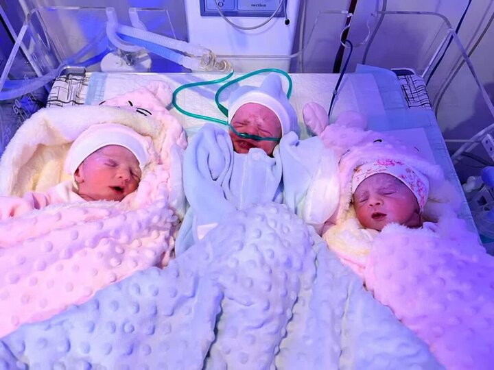 تولد سه‌قلوهای سالم با روش IVF در سنندج