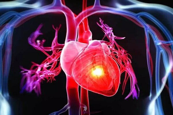 از علم تا فرهنگ‌سازی سبک زندگی برای حفظ سلامت قلب کودکان