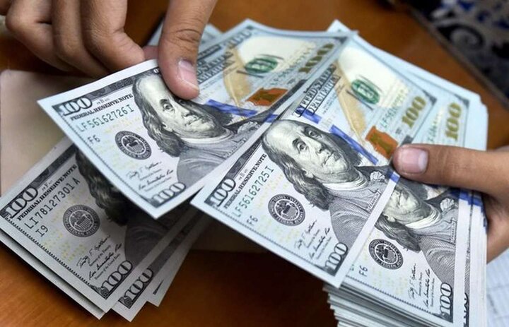 جریمه ۲۵ میلیارد ریالی برای قاچاق ارز