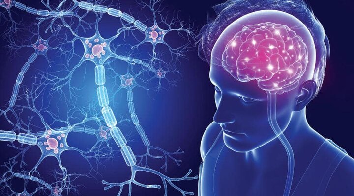 ارتقای سواد سلامت الکترونیک یک ابزار مؤثر در مدیریت بیماری MS است