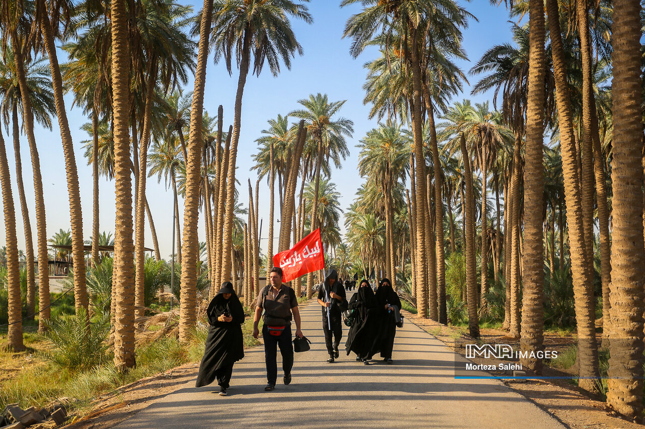 نسخه طبیعت برای احیای جسم و جان پس از پیاده‌روی اربعین