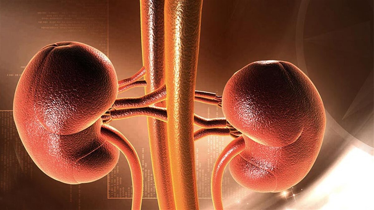 پیوند کلیه؛ تلفیقی از علم و ایثار