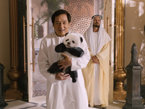 فیلم Panda Plan - عملیات پاندا را آنلاین تماشا یا دانلود کنید | نماوا