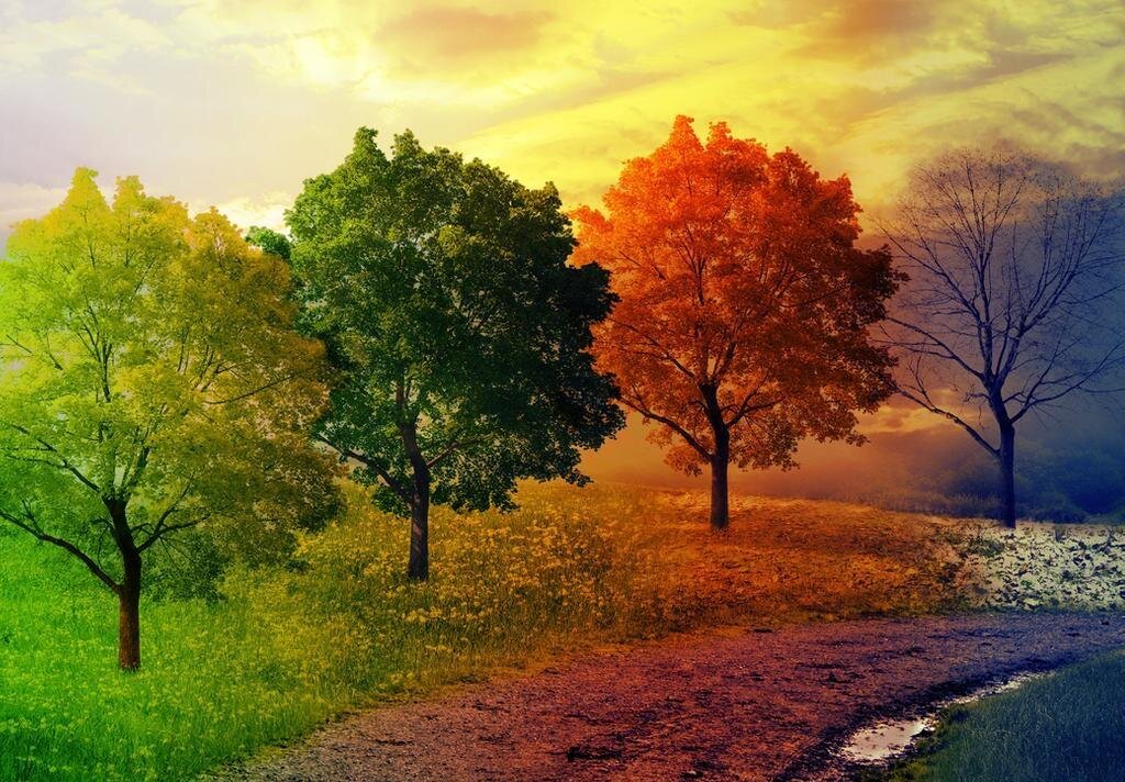 نسخه طبیعت برای تغییر فصل و تاثیر آن بر سلامت روح و جسم