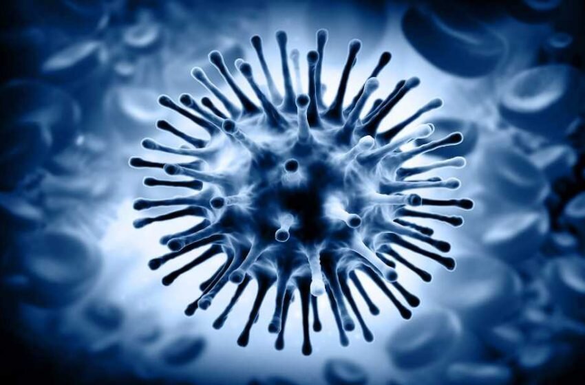 آنفلوانزا در بیماران مبتلا به سرطان؛ تهدیدی فراتر از یک بیماری فصلی 1 آنفلوانزا در بیماران مبتلا به سرطان؛ تهدیدی فراتر از یک بیماری فصلی