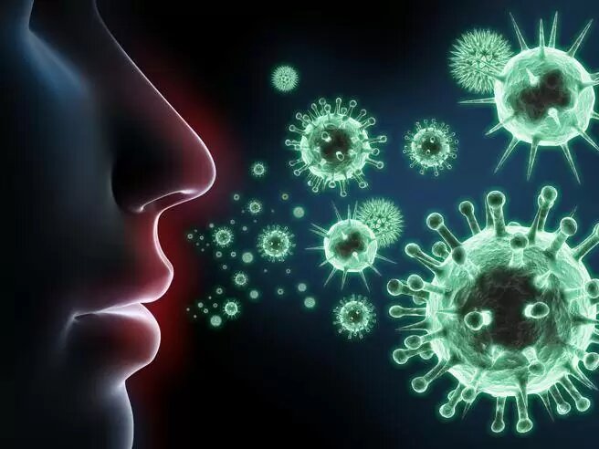 آنفلوانزا چیست و چرا هر سال اهمیت دارد؟ | شیوع آنفلوانزا در فصل سرد + علائم و درمان خانگی 3 آنفلوانزا چیست و چرا هر سال اهمیت دارد؟ | شیوع آنفلوانزا در فصل سرد + علائم و درمان خانگی