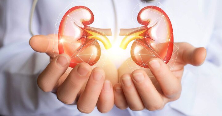 آیا عفونت کلیه خطرناک است؟ + علائم و راهکارهای پیشگیری
