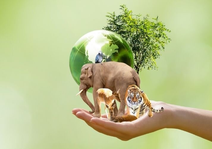 از درجه‌بندی حفاظتی ۴۵ غار تا راه‌اندازی پایگاه داده تنوع زیستی ایران