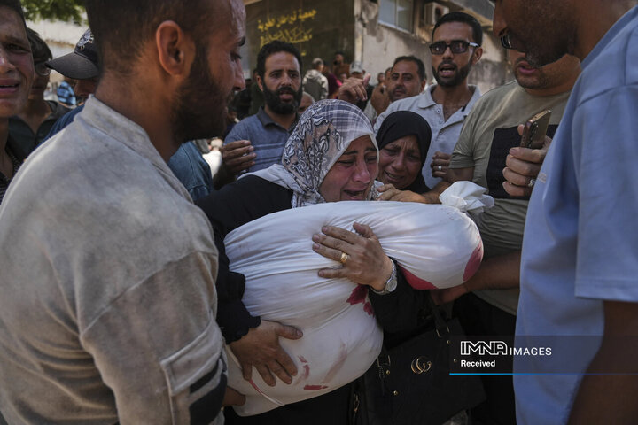 افتخارآفرینی بانوی هیمالیانورد کشور / جزئیات اعطای کارت امید به مادران 5 فریاد زنان و کودکان غزه زیر آوار سکوت جهانی