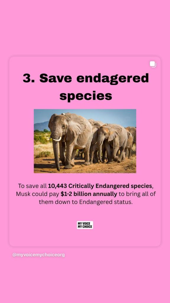 انتقاد تند بیلی آیلیش از ایلان ماسک: ««ثروتت را برای گرسنگان و غزه خرج کن بزدل!» 3 انتقاد تند بیلی آیلیش از ایلان ماسک: ««ثروتت را برای گرسنگان و غزه خرج کن بزدل!»