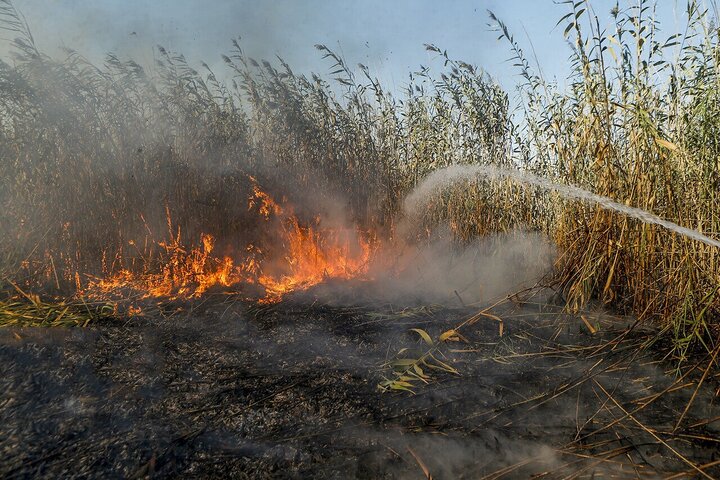 تالاب هورالعظیم؛ گنجینه‌ای طبیعی در خطر