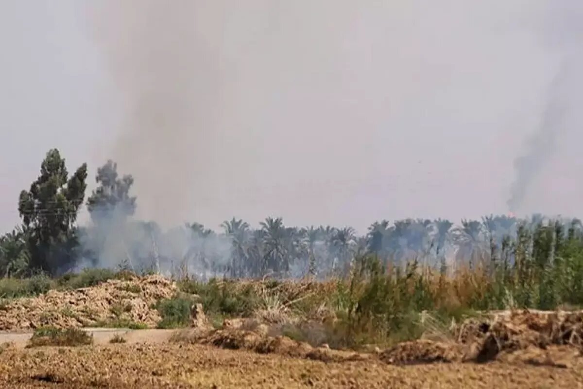 تالاب هورالعظیم؛ گنجینهای طبیعی در خطر 1 تالاب هورالعظیم؛ گنجینهای طبیعی در خطر