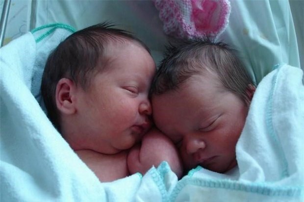 ثبت بیش از ۱۱ هزار واقعه ولادت چندقلوزایی در ۷ ماه سال جاری