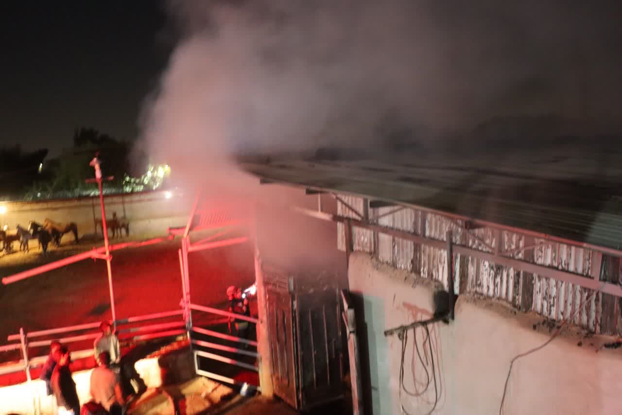 جزئیات وقوع حریق در انبار کاه واقع در باغ فردوس + عکس 1 جزئیات وقوع حریق در انبار کاه واقع در باغ فردوس + عکس