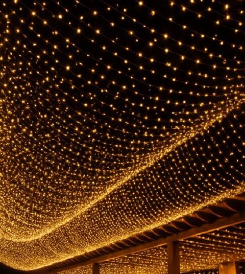 خرید عمده ریسه سوزنی با قیمت کف بازار