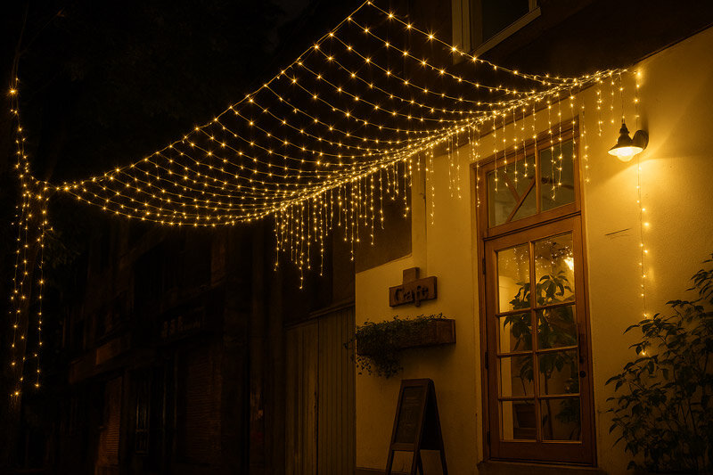 خرید عمده ریسه سوزنی با قیمت کف بازار 2 ریسه های سوزنی