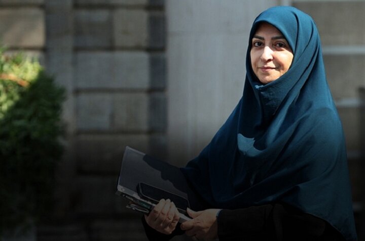 رئیس سازمان محیط‌زیست برای شرکت در کنفرانس تغییر اقلیم به برزیل سفر کرد