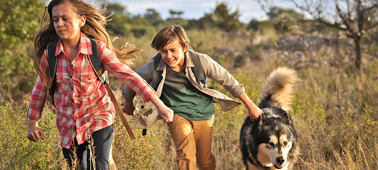 «شبح» بعد از «خانه خرابکن» روی آنتن میرود | دنبالهدارهای سینمایی در شبکه نمایش 4 سینمایی نبرد با طبیعت 1 | شبکه امید
