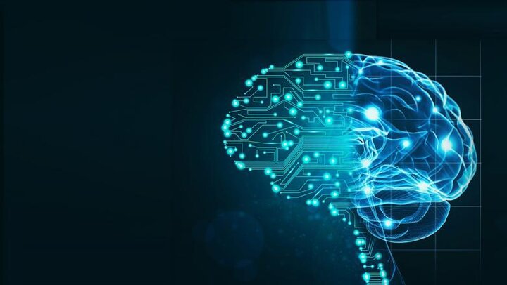 عادتها؛ فرماندهان پنهان مغز 4 عادتها؛ فرماندهان پنهان مغز