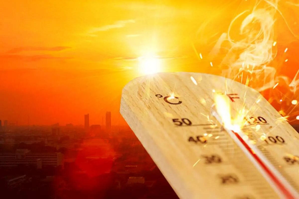فوت بیش از ۶۲ هزار نفر در اروپا بر اثر گرمای شدید در ۲۰۲۴ | هشدار جدی برای تغییرات اقلیمی 2 فوت بیش از ۶۲ هزار نفر در اروپا بر اثر گرمای شدید در ۲۰۲۴ | هشدار جدی برای تغییرات اقلیمی