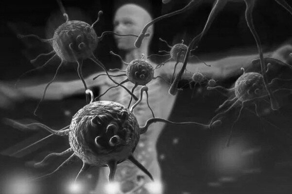 نسخه طب سنتی برای مراقبت از سلامت در برابر بیماری‌های پاییزی