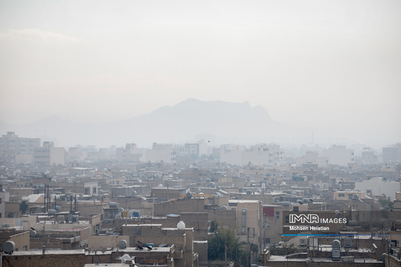 نسخه‌های گیاهی طب سنتی برای روزهای خاکستری سال