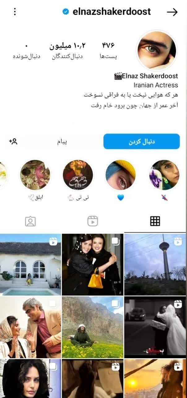 پایبندی به وطن بهانهای برای اعدام رسانهای 5 بازهم ترفند رسانه، بازهم مارپیچ سکوت؛ این بار «الناز شاکردوست»