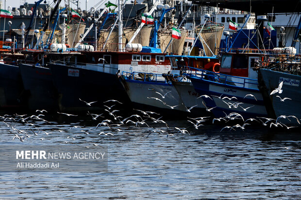 توقف حرکت کشتیها به بنادر ایران و بالعکس تکذیب شد 1 توقف حرکت کشتیها به بنادر ایران و بالعکس تکذیب شد