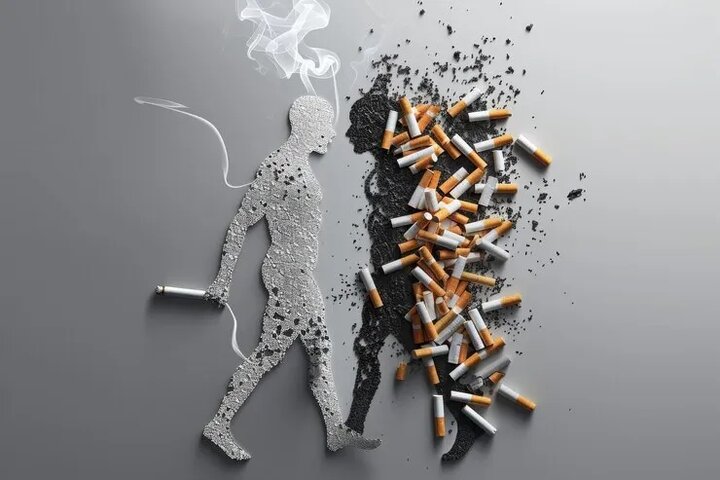 واقعیت پنهان اعتیاد؛ آموزش صحیح یا تجربههای پرهزینه؟ 4 واقعیت پنهان اعتیاد؛ آموزش صحیح یا تجربههای پرهزینه؟