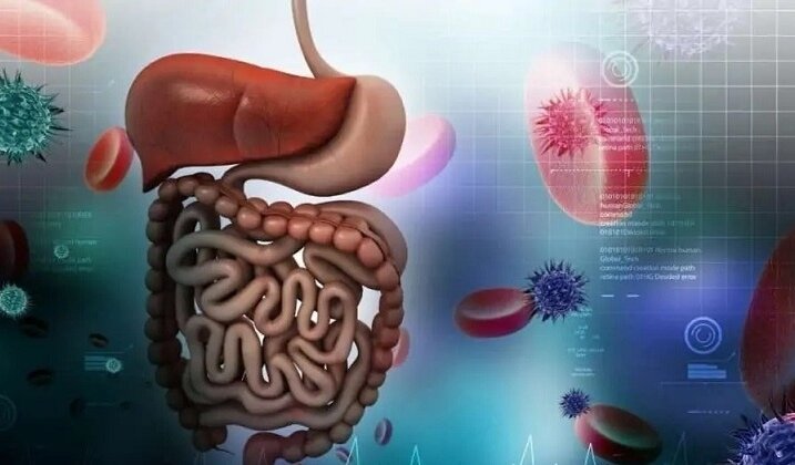 آیا میکرو پلاستیک ها با ابتلا به سرطان ارتباط دارد؟