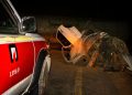 مصدومیت و حبس ۴ نفر در پی واژگونی تریلر حامل قیر و برخورد با سواری پراید + عکس 6 مصدومیت و حبس ۴ نفر در پی واژگونی تریلر حامل قیر و برخورد با سواری پراید + عکس