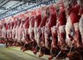 واردات گوشت از برزیل کنترل و پایش می‌شود