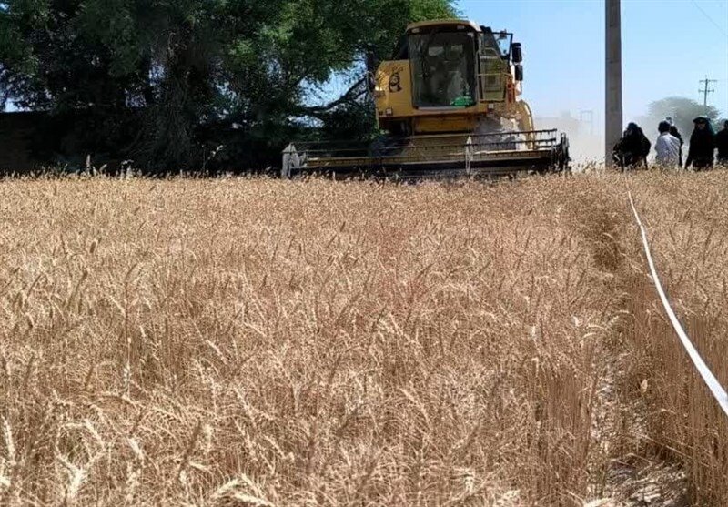 از ارتقای زیرساختهای حمایتی و دانشبنیان تا افتخارآفرینی در المپیادهای علمی 2 امید