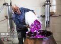ایران در گردش مالی گل محمدی سهم ناچیزی دارد
