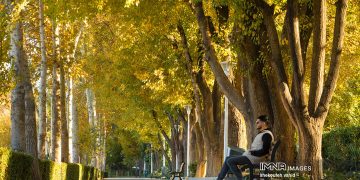 خمودگی پاییزی؛ افسردگی فصلی یا تغییرات خلق‌وخو؟
